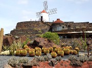 024  Lanzarote Cactus Garden.jpg